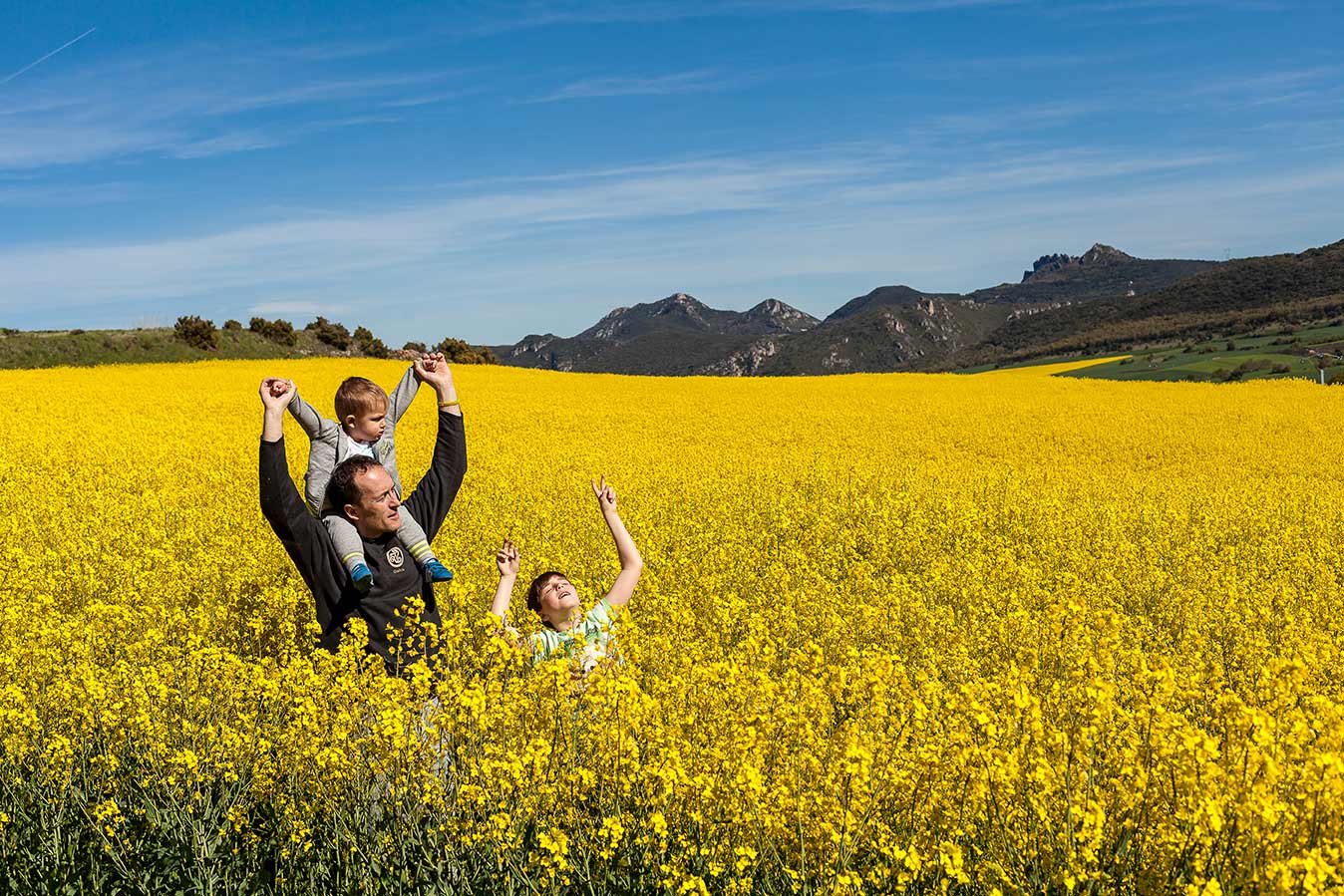CAMPO-DE-COLZA-EN-FLOR